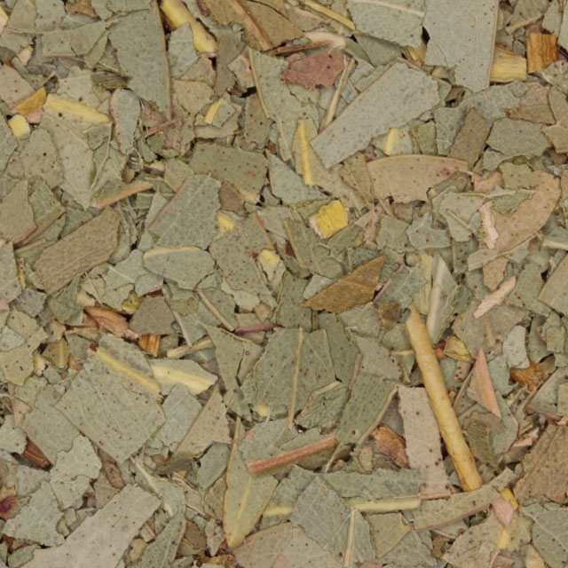 Eucalyptus van De Theefabriek, 1x 1 kg